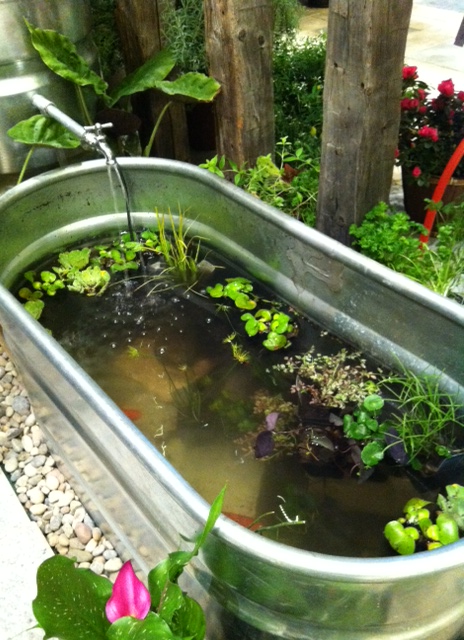 Part of the amazing water feature at Toadflax. It even had Koi fish in it! 